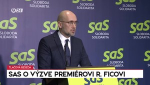 Tlačová beseda SaS o výzve premiérovi Ficovi