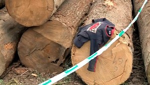 Paľka (†7) z východu privalila guľatina, zomrel