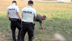Streľba pri frekventovanej ceste. Na svedomí ju majú zrejme pytliaci