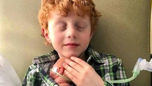 Chlapcovi sa splnil sen: Svet dojíma video, keď sa prvýkrát dotkne bračeka