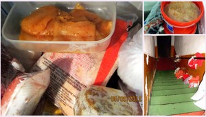 Baktérie a plesne... Takto dopadli kontroly v ázijských reštauráciách