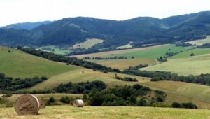 Sceľovanie pozemkov opäť pribrzdilo. Koalícia neprelomila veto prezidentky