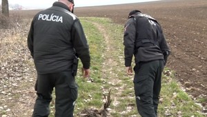 Otrava dravcov pokračuje. Ďalších 14 uhynulo