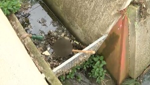 Pátrali po ňom štyri roky, kosti našli pri čistení dažďového žľabu