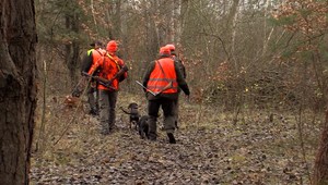 Poľovníci môžu aj mimo okres a vychádzať po 20-tej hodine. Takto budú fungovať výnimky