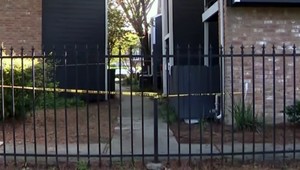 Muž našiel na zemi pohodené bábätko pokryté mravcami