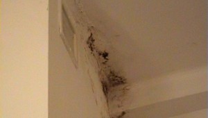 Danko kritizuje Kalavskú. Podľa neho rezort zdravotníctva urobil veľmi málo