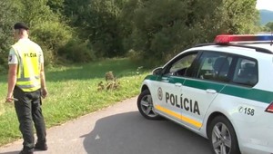 Policajná naháňačka pri Snine: Ukrajinec skoro zrazil policajta