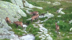 Vysoké Tatry čakajú obmedzenia, okres Poprad je oranžový