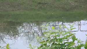 Ľudské telo plávalo na hladine Torysy. Mŕtvola sa zachytila o kamene vo vode po kolená