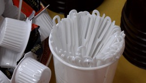 Plastový riad z úradu vlády zmizol. Úpravou prešli aj smetné koše