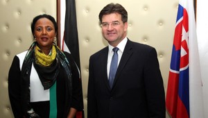 Oriešky. Aj tak Slovensko rieši problémovú Afriku