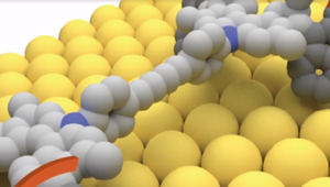 Ďalší nositeľ Nobelovej ceny na Slovensku. Jedného dňa jeho výtvor bude možno v tele každého z nás