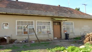 Muž umlátil psa kladivom, hneval sa na kamaráta