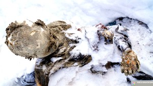 Múmie horolezcov našli po 55 rokoch, trčali zo snehu