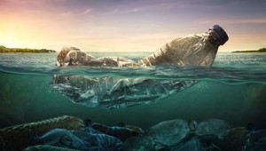 Pitie mikroplastov nepredstavuje riziko pre ľudské zdravie, tvrdí Svetová zdravotnícka organizácia WHO