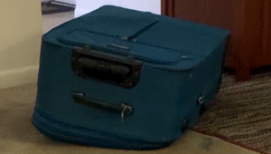 Svojho priateľa zamkla ho do kufra a nechala zomrieť. Súd uznal ženu vinnou z vraždy