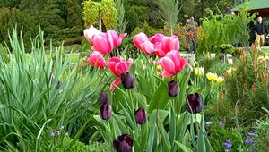 Dominikáni predali botanickú záhradu,  3,6 milióna € sa im máli