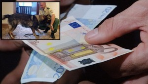 Falošné eurobankovky pribúdajú! Odhalia ich aj špeciálne psy