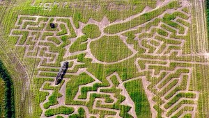 Šprintér Usain Bolt (25) má vlastné bludisko