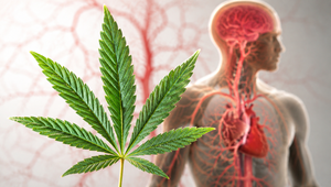Marihuana skrýva vážne riziko, ktoré mnohí nečakali