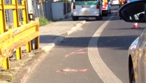 Dievča (9) kráčalo so psom popri ceste, keď ju zrazilo auto. Na vine je údajne mikrospánok