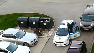 Na žilinskom sídlisku si spravila hostinu diviačia rodina. Odborníci to ale dávajú za vinu obyvateľom