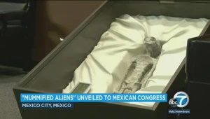 Odborníci reagujú na údajné mimozemské telá nájdené v Mexiku