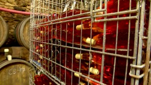 Svetoví experti zhodnotili kvalitu slovenských vín. Medaila na fľaši nie je všetko, tvrdia