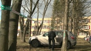 Chlapec (10) ukradol učiteľke auto, skončil v strome