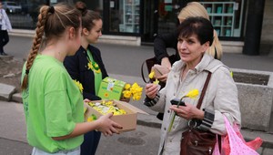 Deň narcisov prvýkrát vo štvrtok. Prispejte na pomoc