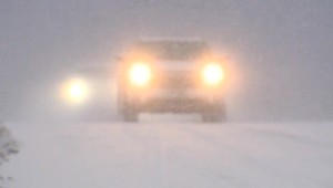 Jaštery padajú z neba. Krutá zima ohrozuje ľudí aj zvieratá