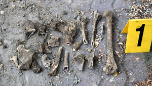 Šokujúci nález pred budovou školy. Robotníci vykopali ľudské kosti