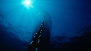 Mimozemský tvor nájdený v mori? Odborníci tvrdia, že môže pochádzať z vesmíru