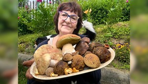 Hubárka sa pochválila výnimočným úlovkom. Príspevok spustil vlnu kritiky