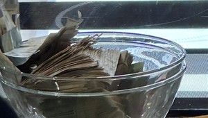 NAKA s akciou Oblak na Kysuciach pohla: Obvinila tri osoby