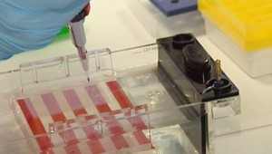 Slovenským vedcom sa domov vrátiť nechce. V čom je problém?