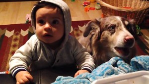 Hit internetu: Mama chcela, aby synček povedal "mama", psík však všetkých prekvapil