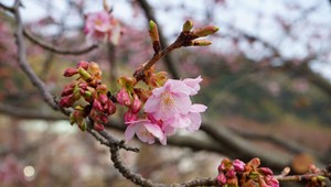 Z víkendového počasia sa môžeme tešiť. Čo nám ale prinesie nový týždeň?