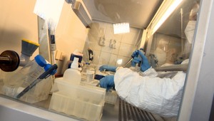 Pripravovali sme sa na pandémiu chrípky, nikto nečakal pandémiu koronavírusu, hovorí šéfka Národného referenčného centra pre chrípku