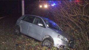 Zveri sa už nemal šancu vyhnúť. S autom zastavil až pri železničnej trati