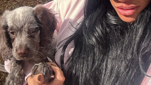 Domáci miláčikovia jej miznú alebo zomierajú! A teraz sa hviezdna kráska chce zbaviť ďalšich!