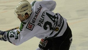Pálffy: Hrať za Slovan by bola hlúposť!