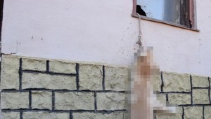 Prípad obeseného psíka: Obyvatelia tvrdia, že majiteľ ho mal rád, polícia hľadá vinníka