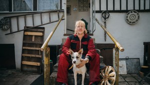 Pozrite si prvé zábery z pokračovania filmu o psom tulákovi! Do kín prichádza Gump: Sme dvojka!