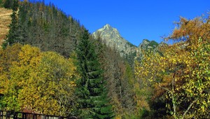 Exkluzívny prieskum agentúry AKO pre TV JOJ 24: Mala by vláda zaradiť medzi priority ochranu životného prostredia?