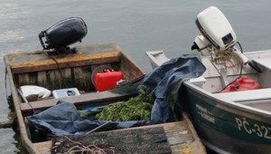 Marihuana na Dunaji. Poriečna polícia zadržala muža pri Čunove