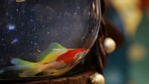 VIDEO: Ryba v čokoládovom vajíčku? Pozrite sa na tieto výtvory