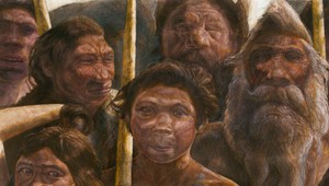 Európa je podľa nového výskumu rodiskom ľudstva