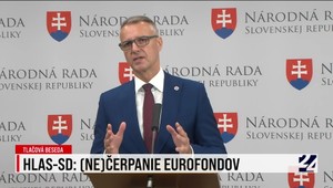Strana Hlas-SD kritizuje vicepremiérku Remišovú